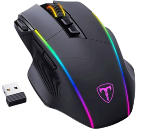 Mouse